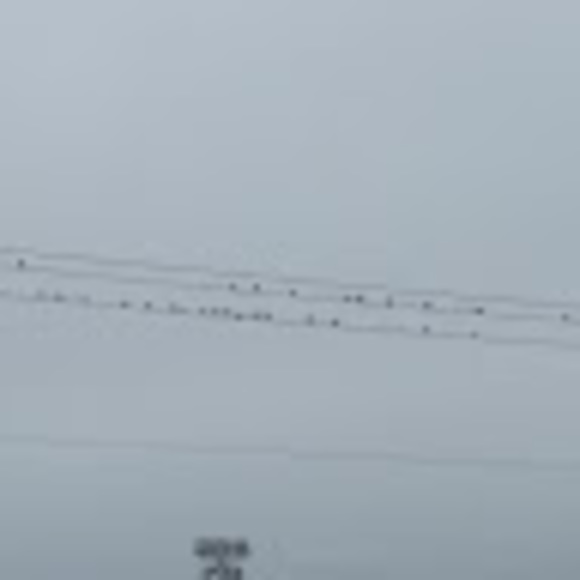 Meet your Posher, Jackie - Picture 1 of 1